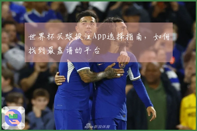 世界杯买球投注App选择指南，如何找到最靠谱的平台
