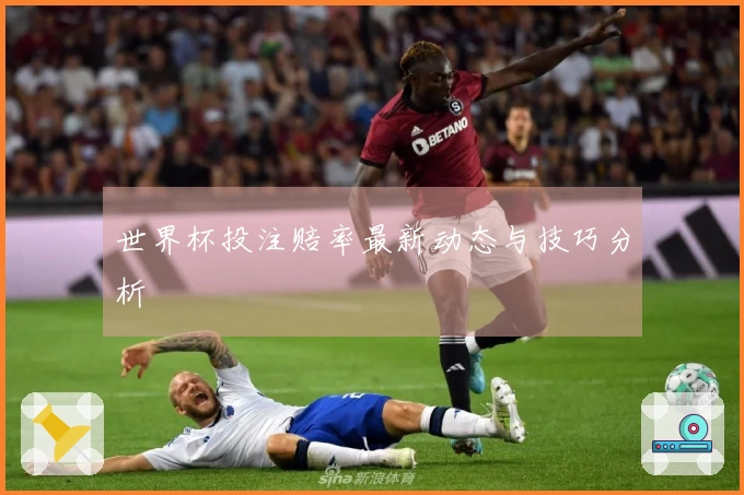 世界杯投注赔率最新动态与技巧分析