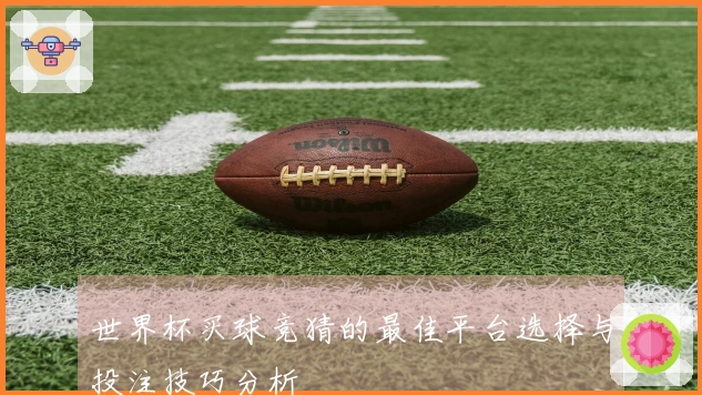 世界杯买球竞猜的最佳平台选择与投注技巧分析