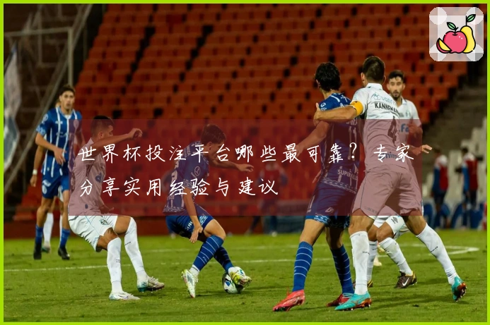 世界杯投注平台哪些最可靠？专家分享实用经验与建议