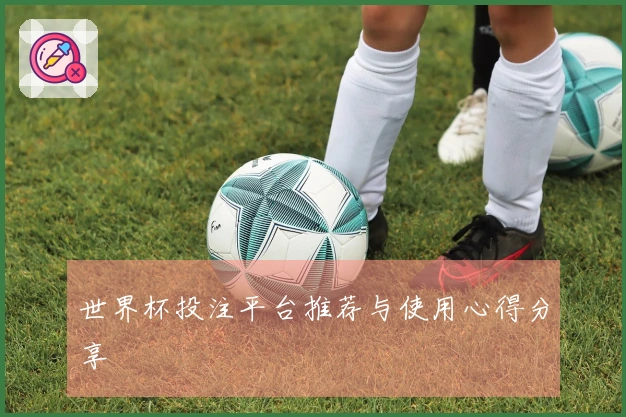 世界杯投注平台推荐与使用心得分享