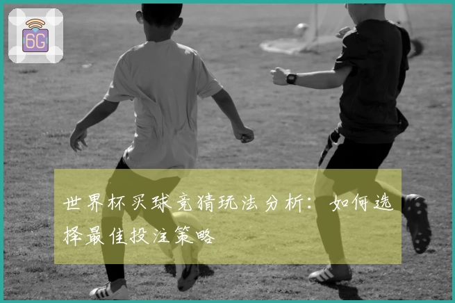 世界杯买球竞猜玩法分析：如何选择最佳投注策略