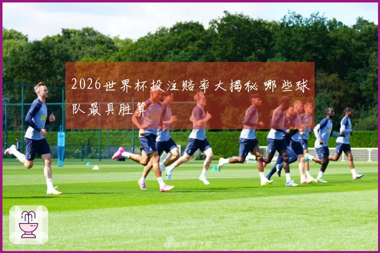 2026世界杯投注赔率大揭秘 哪些球队最具胜算