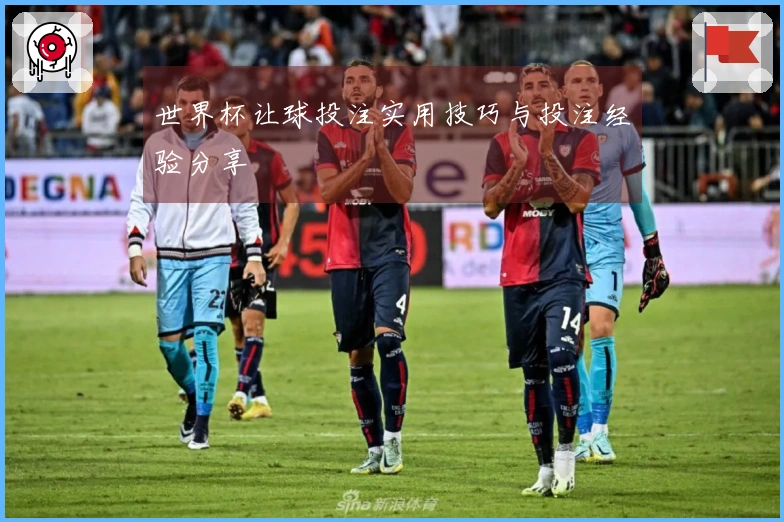 世界杯让球投注实用技巧与投注经验分享