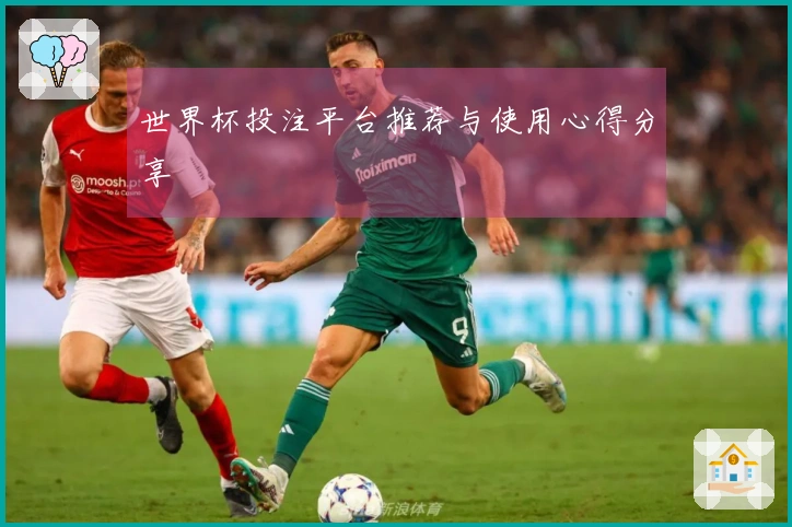 世界杯投注平台推荐与使用心得分享