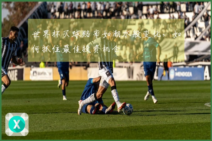 世界杯买球赔率如潮水般变化，如何抓住最佳投资机会