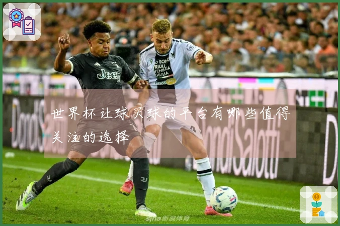 世界杯让球买球的平台有哪些值得关注的选择