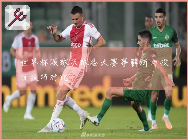 世界杯滚球买球各大赛事解析与投注技巧对比
