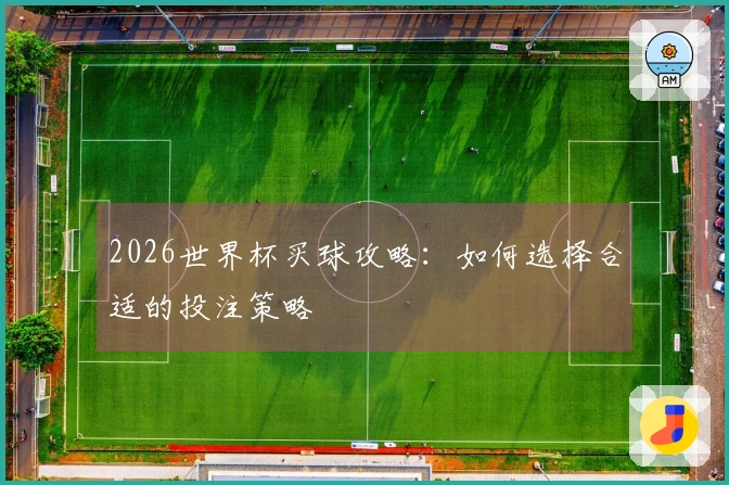 2026世界杯买球攻略：如何选择合适的投注策略
