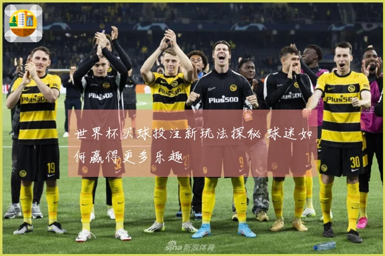 世界杯买球投注新玩法探秘 球迷如何赢得更多乐趣