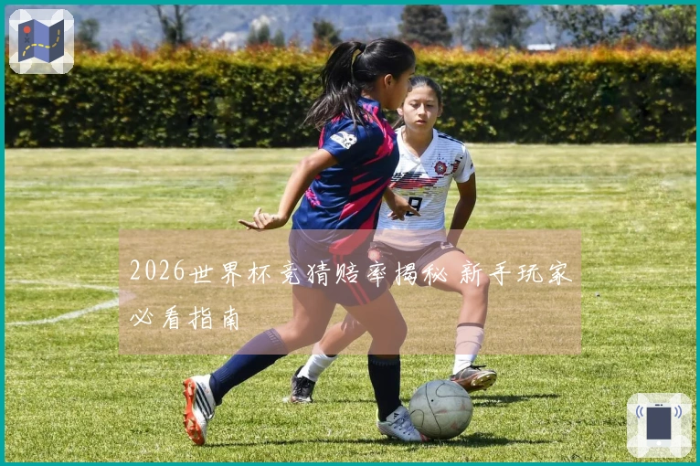 2026世界杯竞猜赔率揭秘 新手玩家必看指南