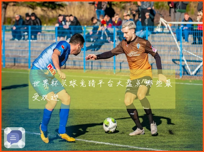 世界杯买球竞猜平台大盘点 哪些最受欢迎